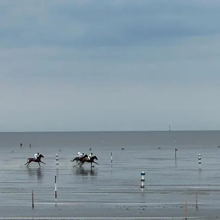 Oswald's Boutique كوكسهافن